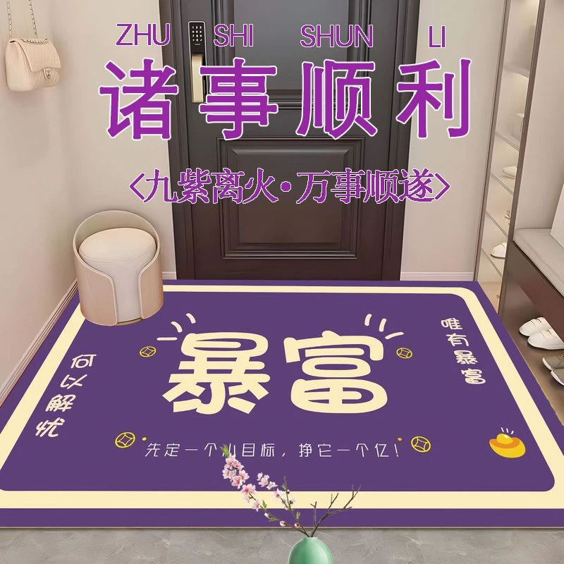 九紫离火玄关入户门地垫家用硅藻泥出入平安紫色耐脏脚垫浴室门垫