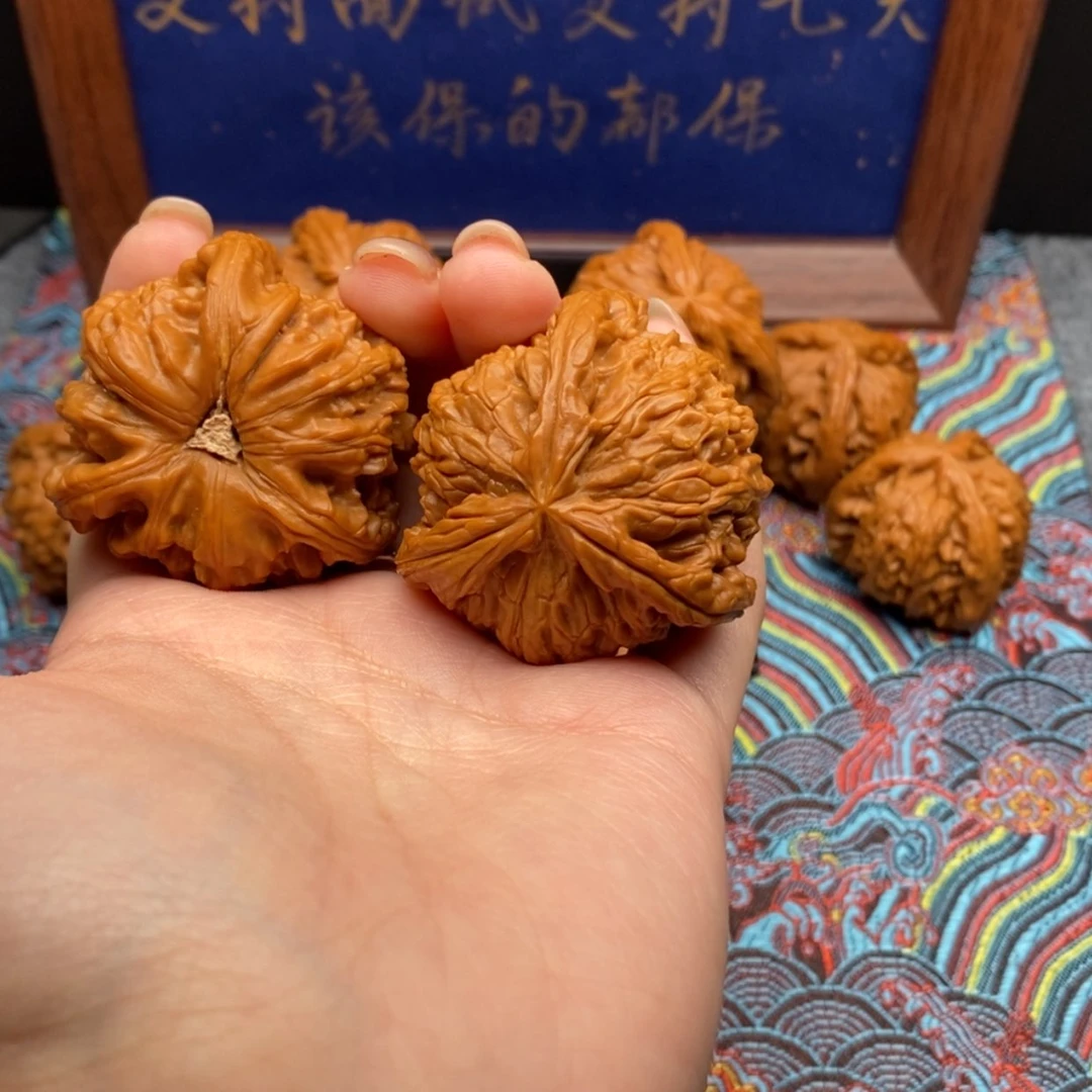 【闪购商品】?****✨白狮