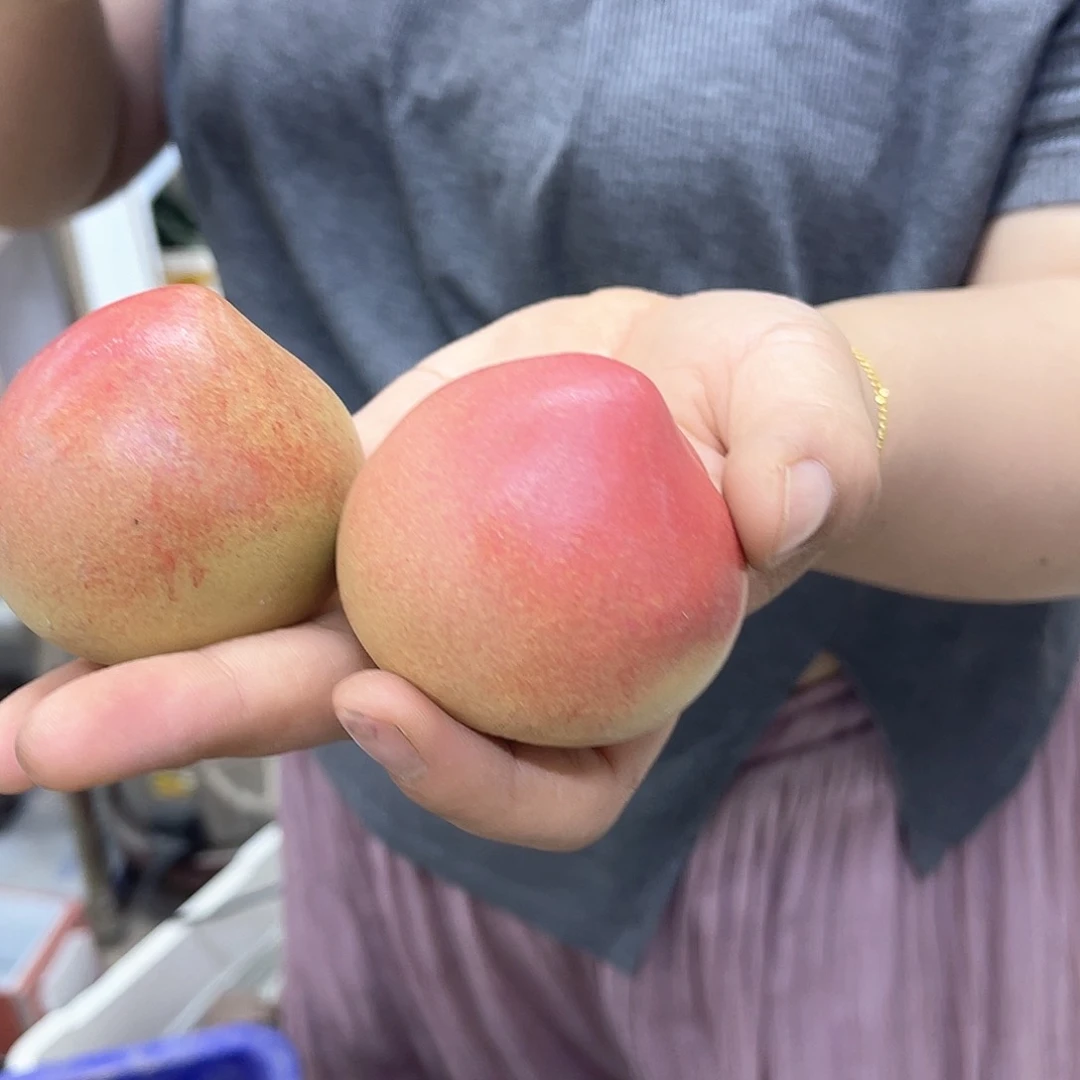 茶壶紫砂宜兴紫砂壶瑕疵