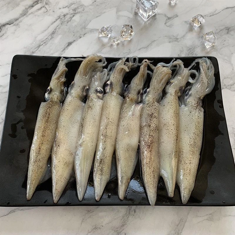 冰鲜海兔子笔管鱼籽乌山东日照发货顺丰包邮3斤装