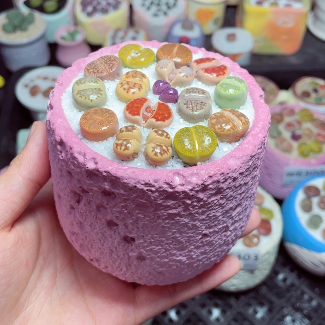 w6307 -零下地区拍保温箱-15支持寄养