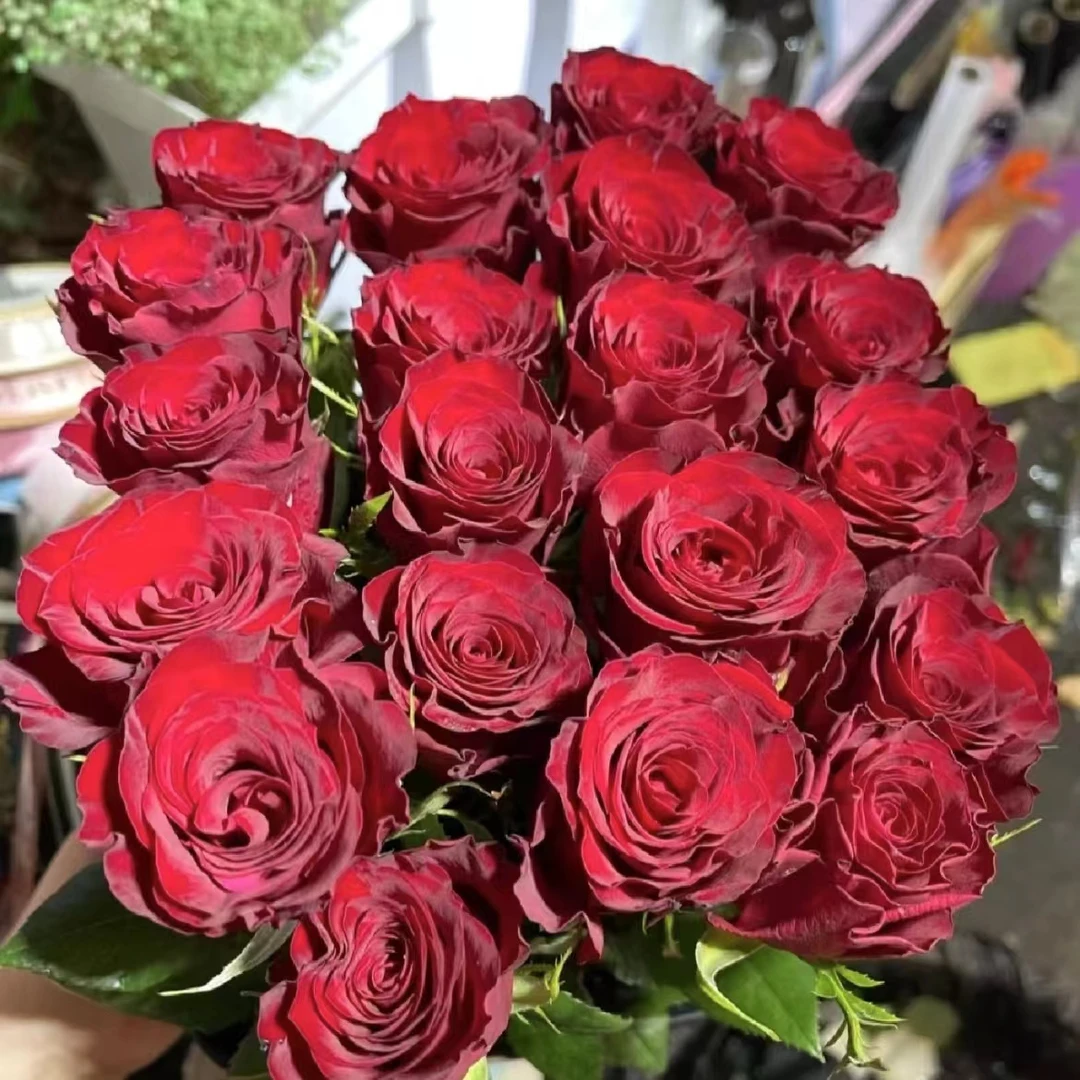 套餐3【红玫瑰 艾莎玫瑰 香水百合】家庭鲜花 0度以下请拍保温棉