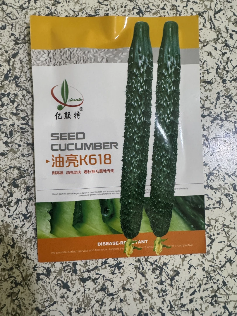 油亮K618绿黄瓜耐热黄瓜种子