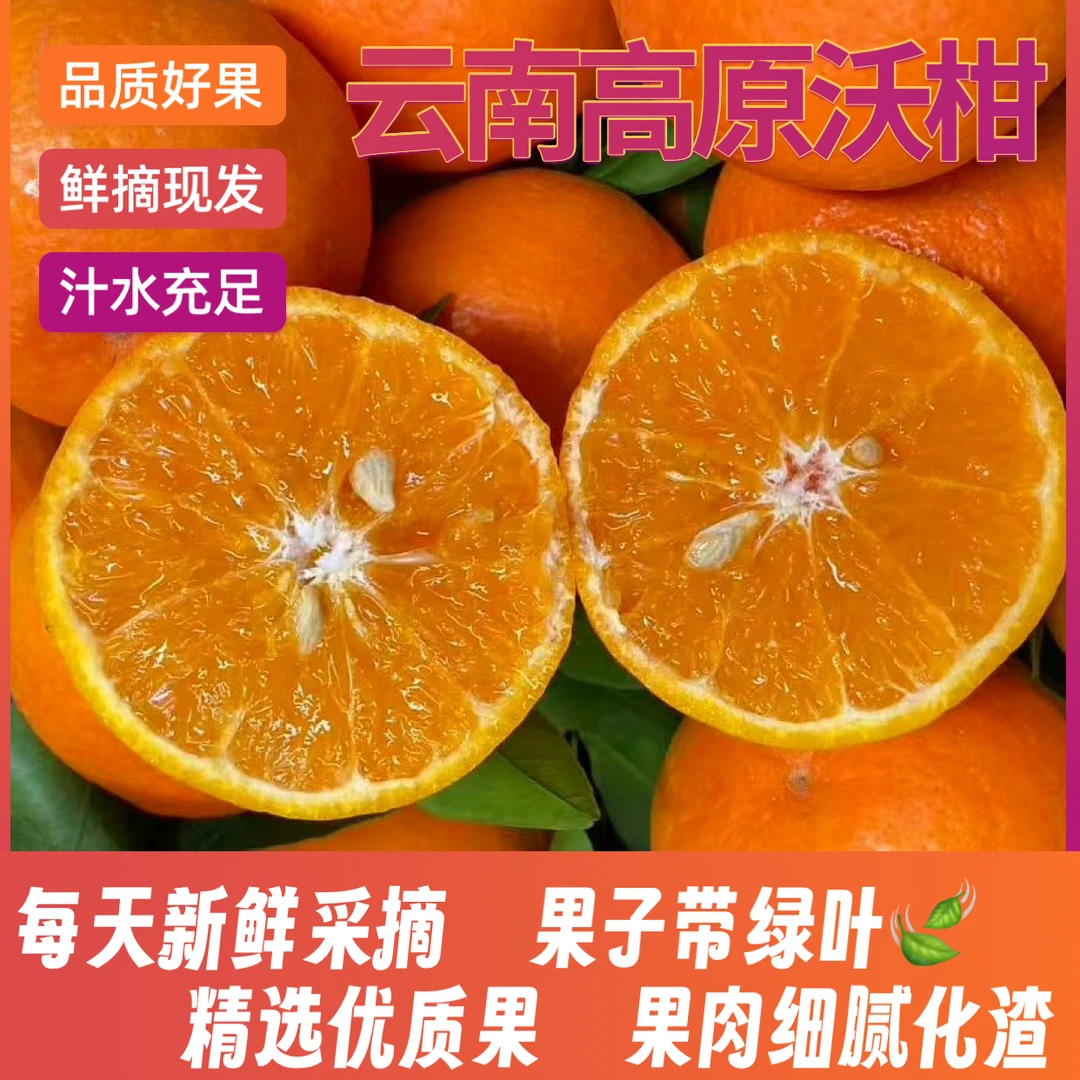 云南高原沃柑新鲜采摘皮薄肉厚香甜饱满当季水果