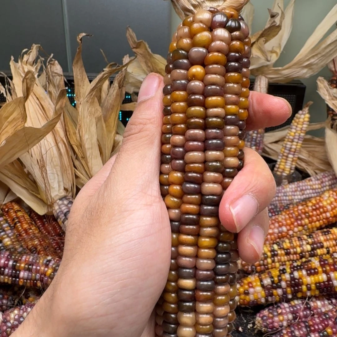 柏香籽/百香籽吊坠?****?