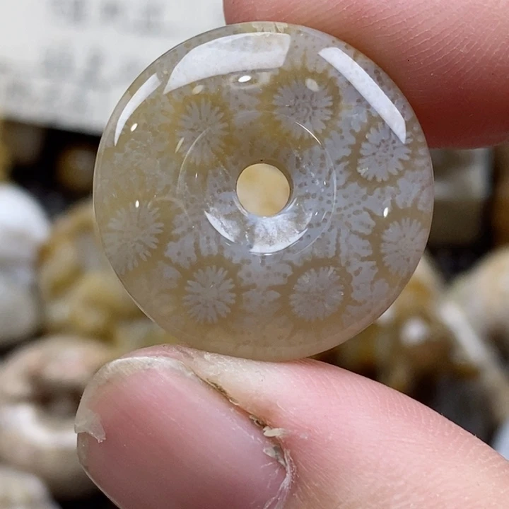 颈饰未镶嵌硅化珊瑚（珊瑚玉）小