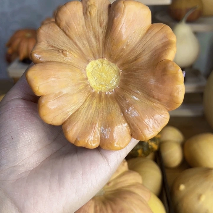 葫芦中国大陆你****?