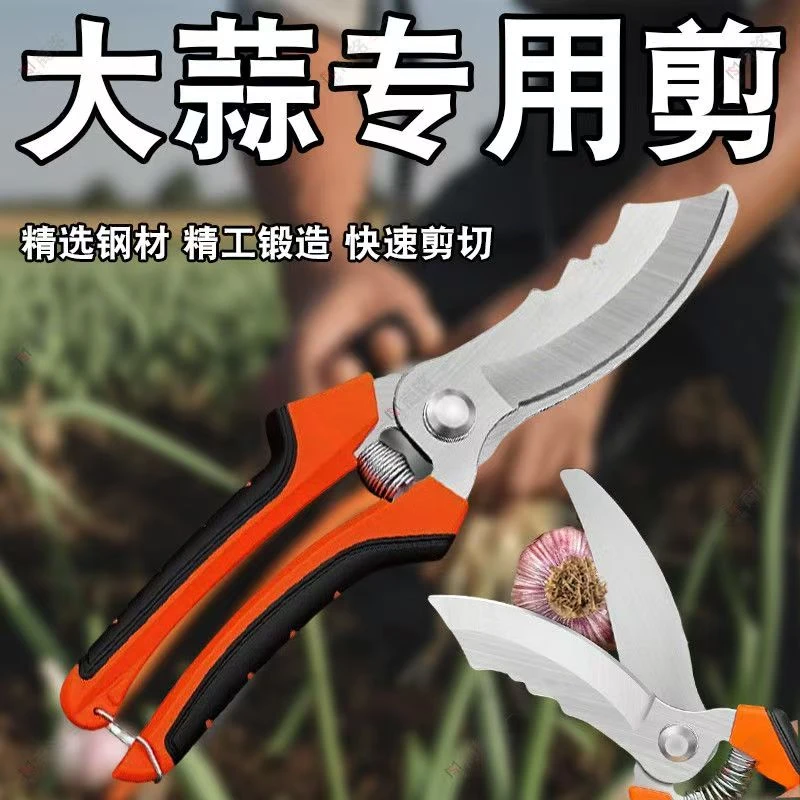 农用大蒜剪刀专用剪蒜根蒜头蒜杆洋葱生姜剪刀工具