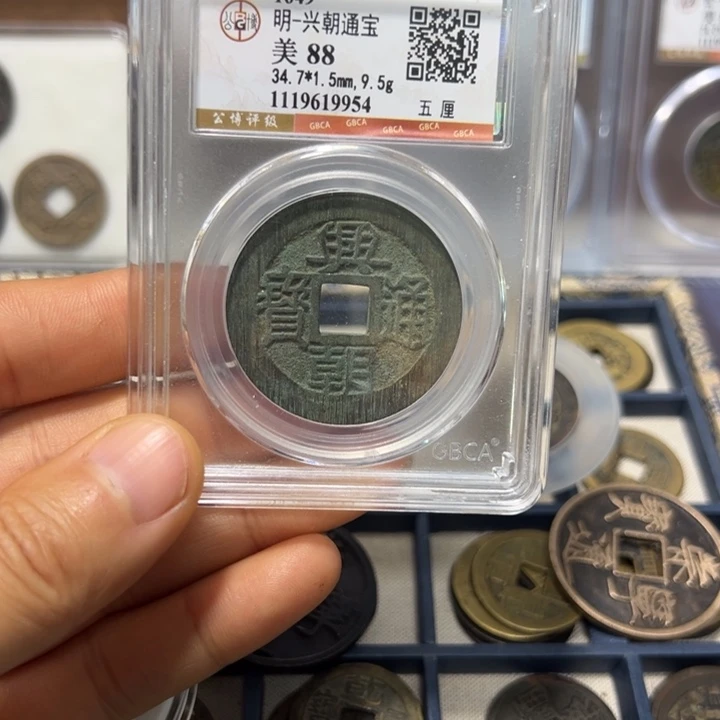 铜周周兴朝通宝五厘9954