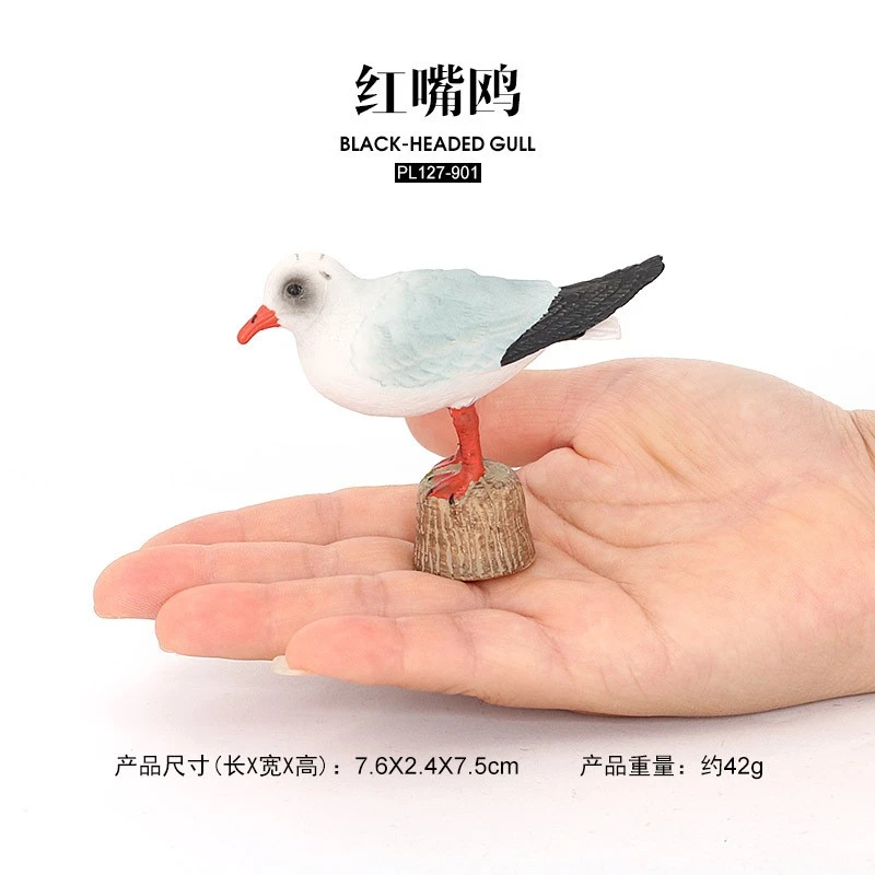小鸟玩具模型红嘴鸥白头鹰巨嘴鸟黑脸琵鹭金刚鹦鹉啄木鸟仓鸮雕鸮
