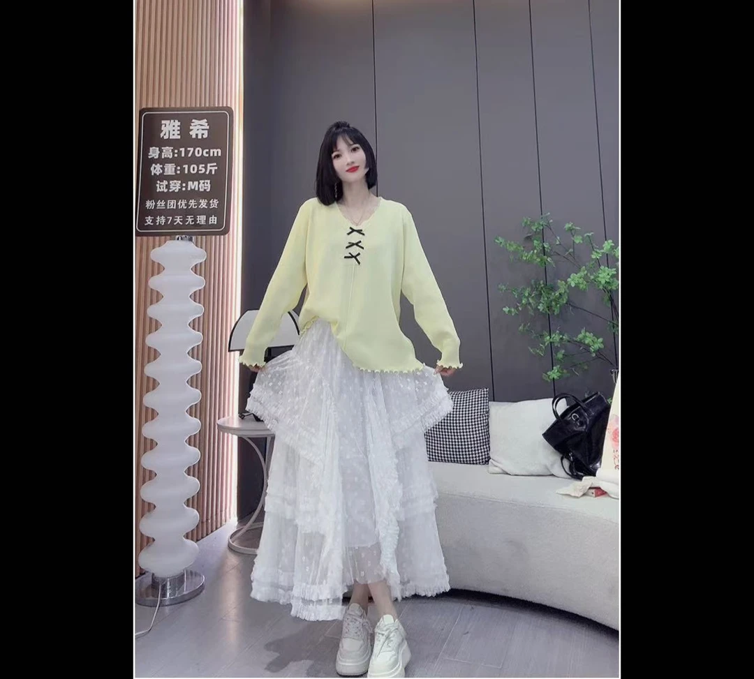 【雅希定制】春季新款网纱半身裙层刺绣蕾丝裙926一片孤城万仞山