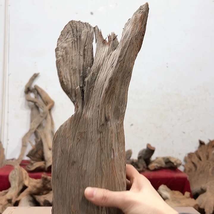 柏木用****3我们的生活是以自己为