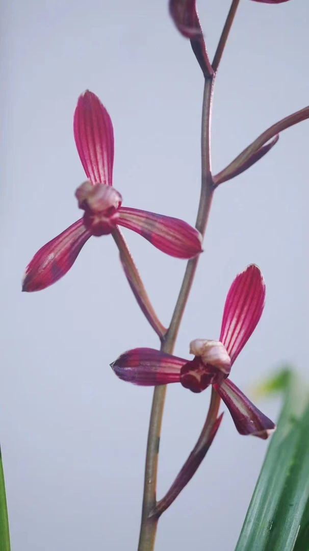 中奖专拍 中奖福利