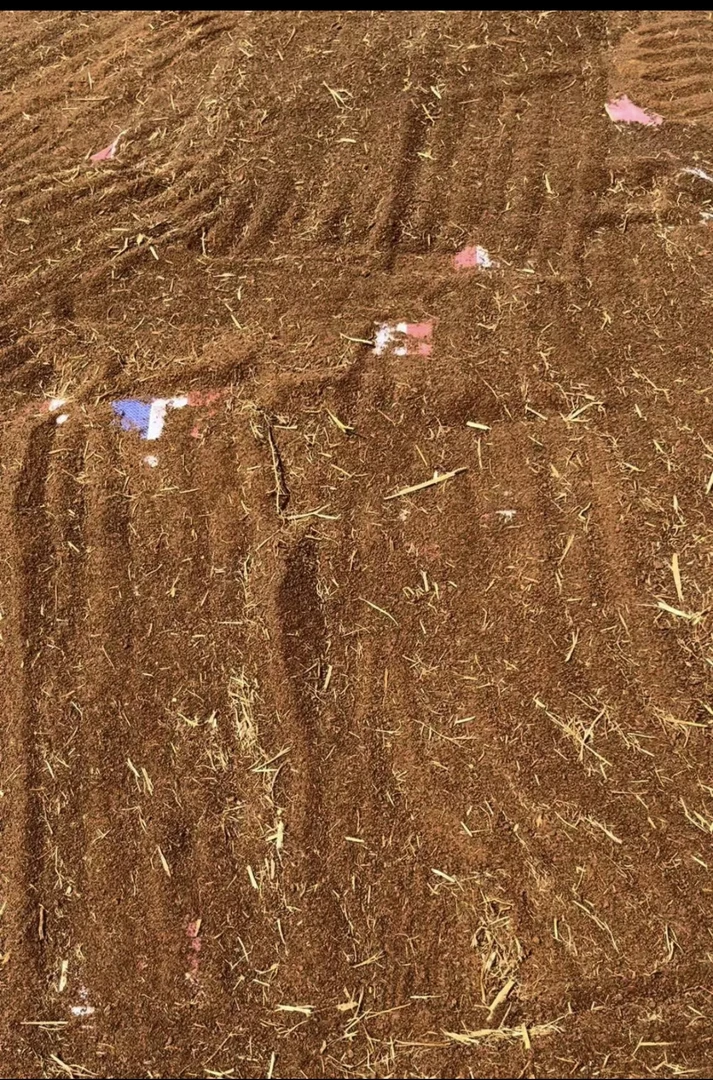 广东信宜老树茶籽芯，茶籽麸