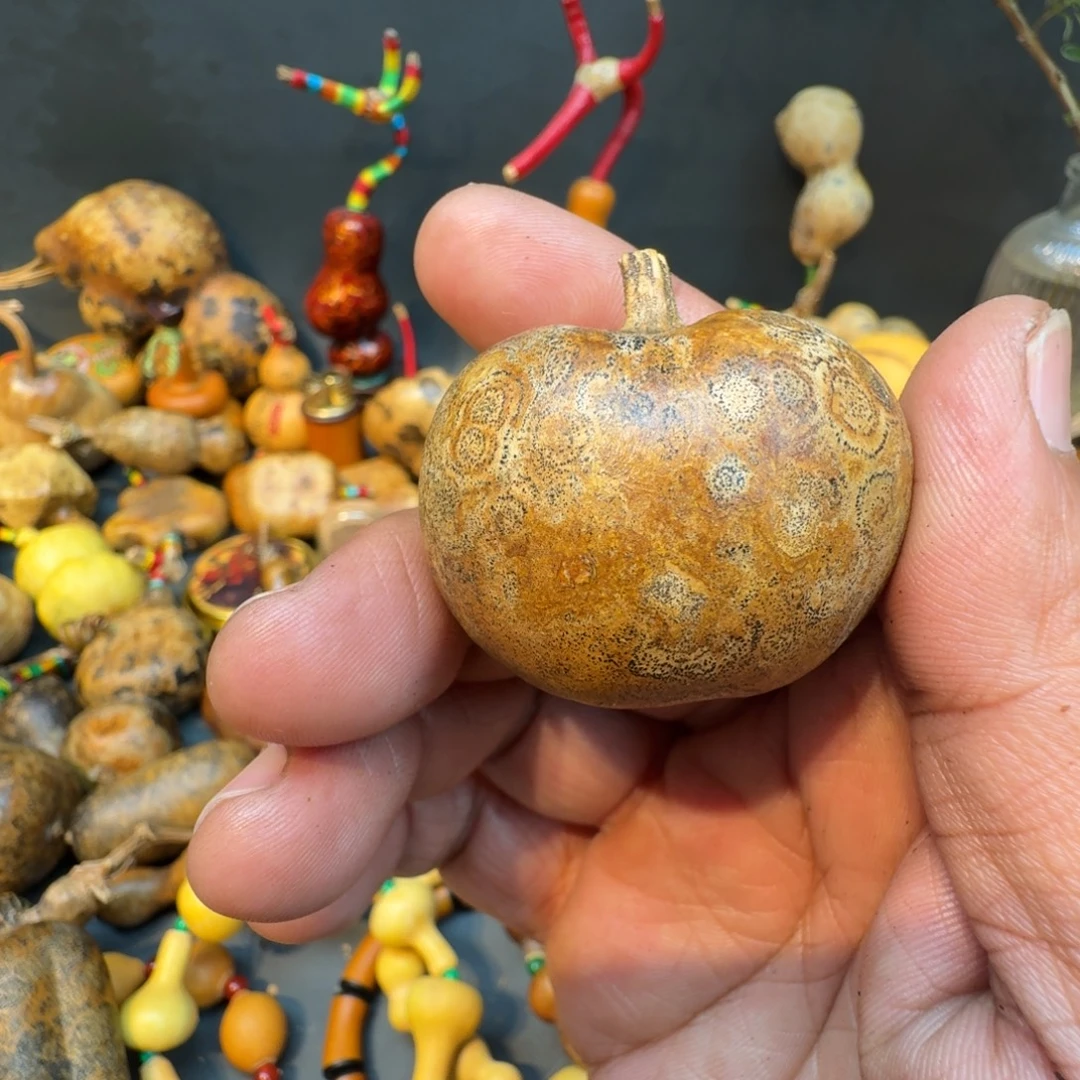 禹***馆嘎嘎嘎嘎嘎嘎嘎嘎嘎