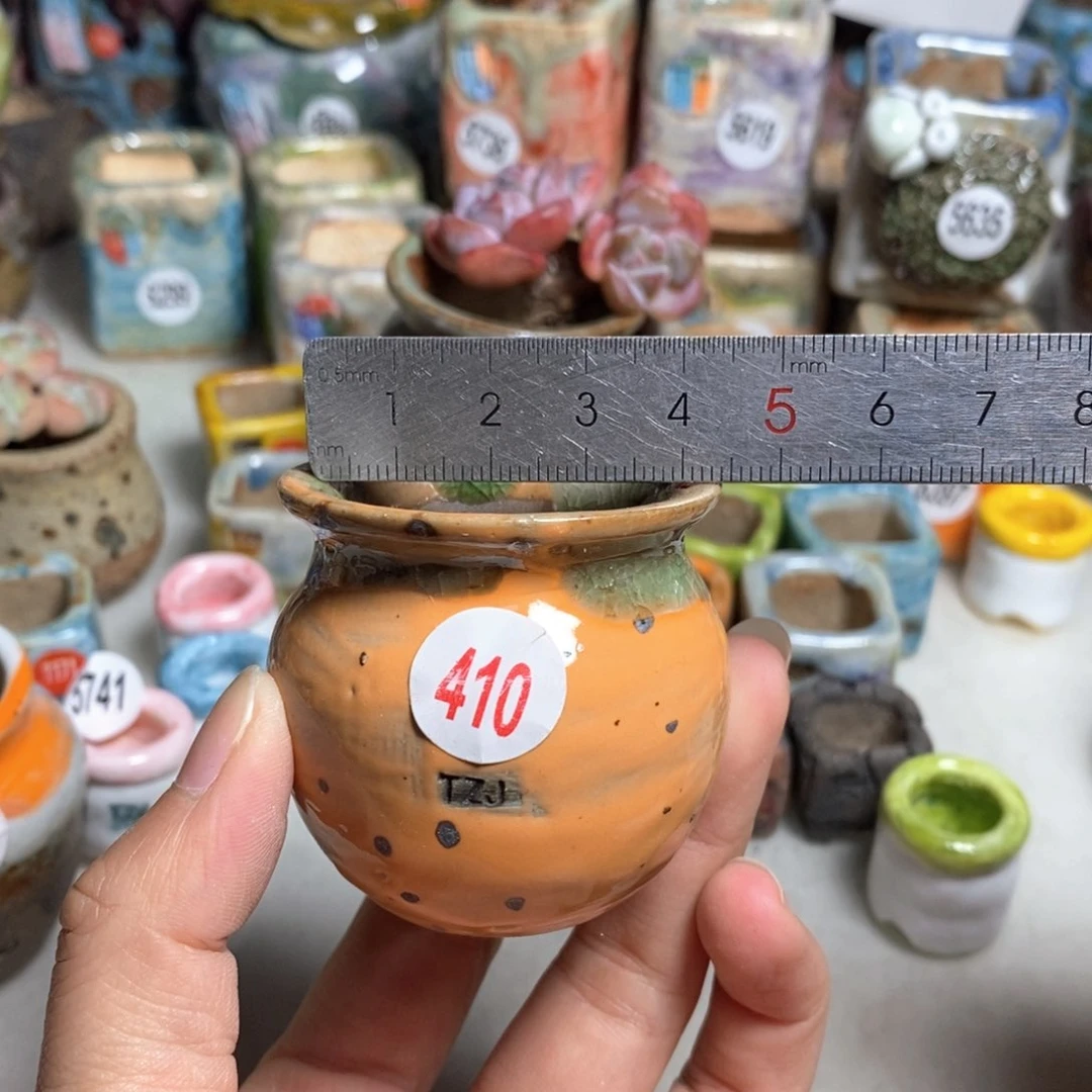 拍5送一个小礼物