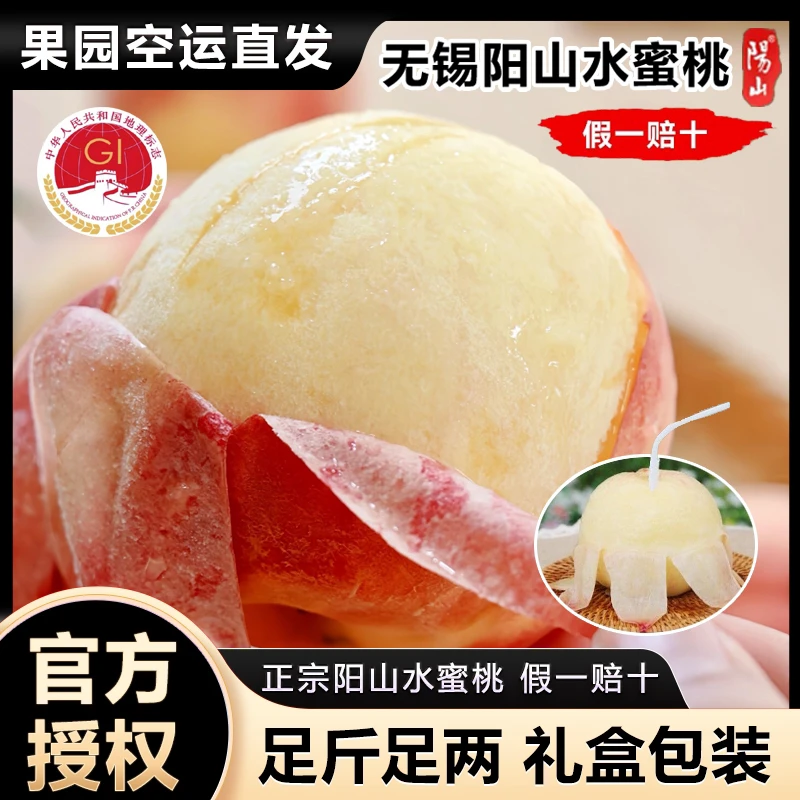 【桃王7-6两-双箱12颗礼盒装】正宗无锡阳山水蜜桃现采现摘鲜果