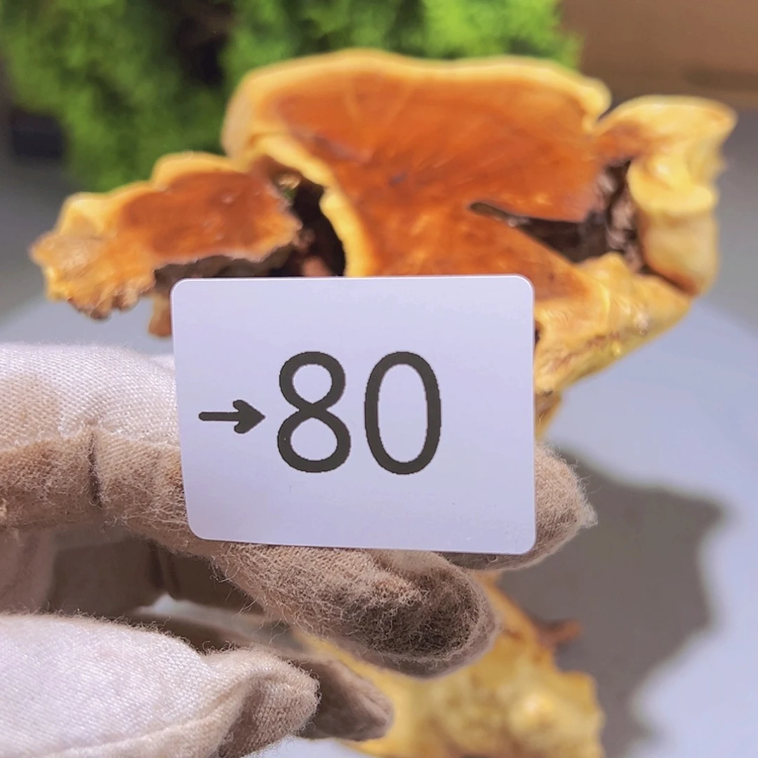 香榧木藏*阁火琉璃……