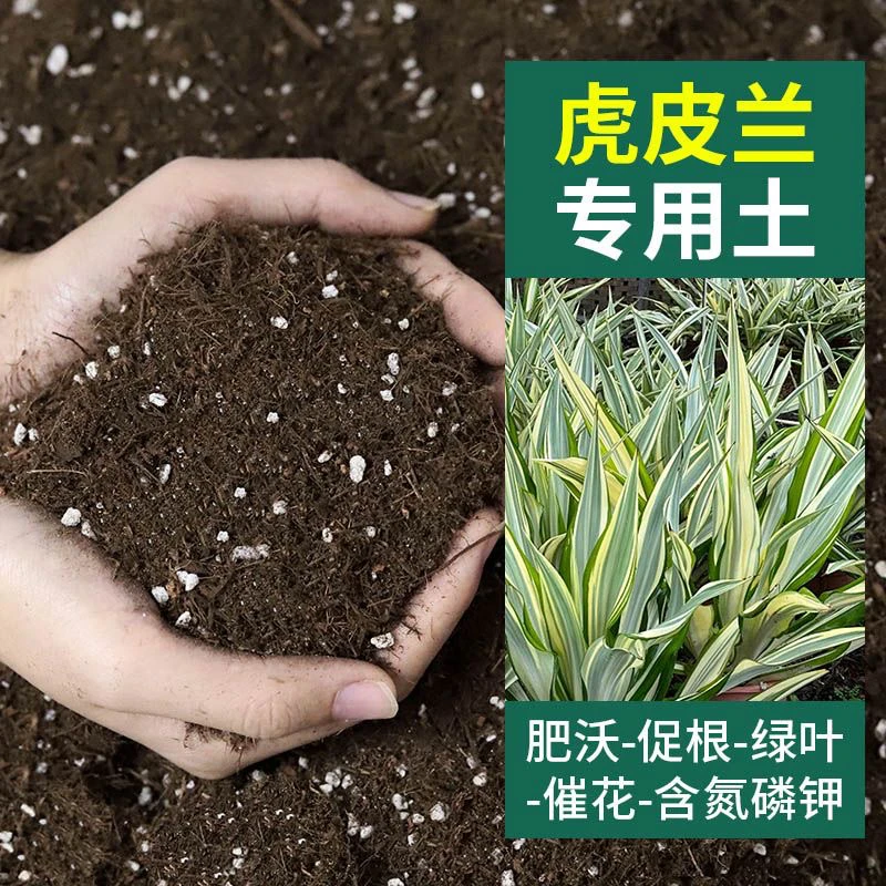 椰糠土壤，虎皮兰种植专用土