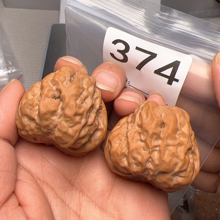 核桃38尺精对374