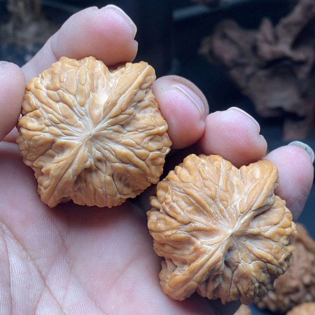 核桃42全品磨盘………………