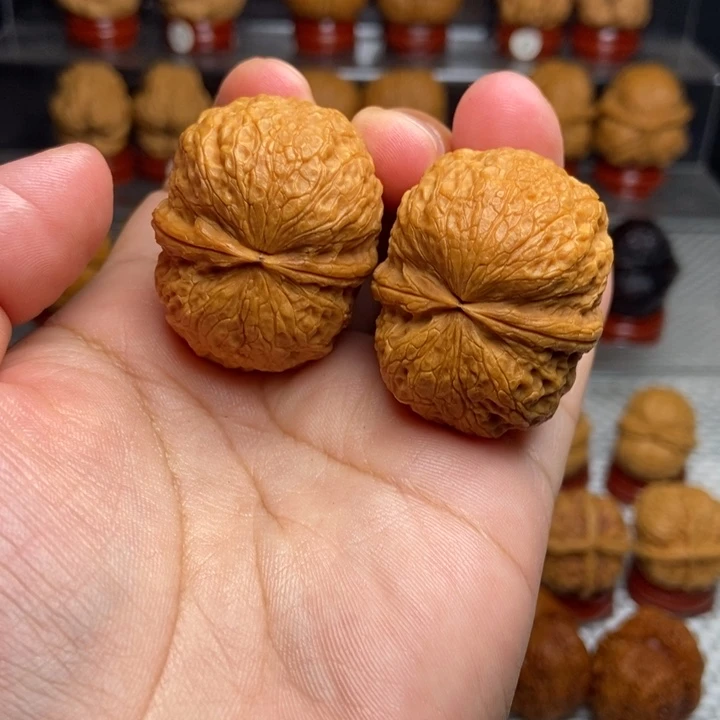 文玩核桃把件鹦鹉元宝27