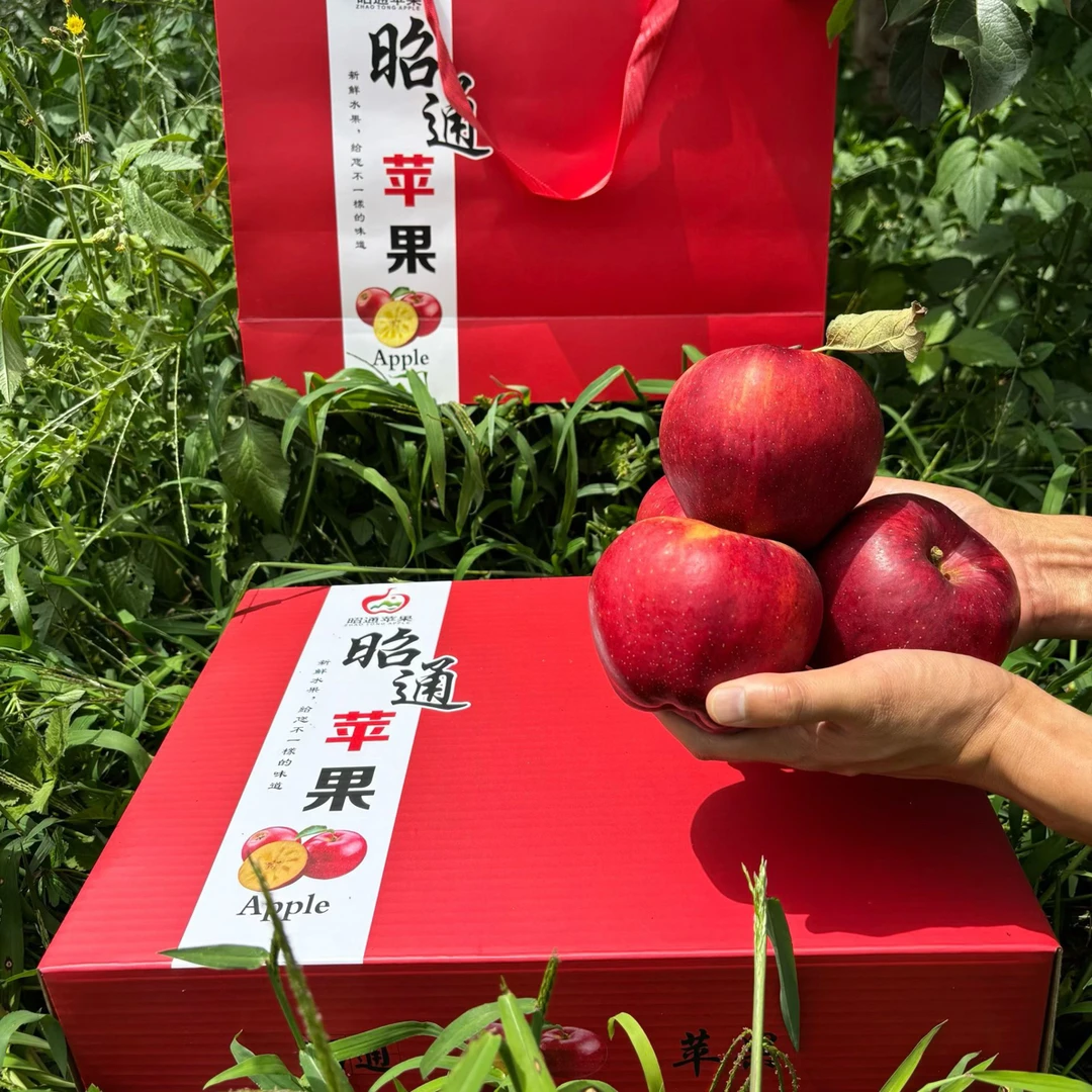 （礼盒装）正宗云南昭通冰糖心丑苹果脆甜多汁新鲜现摘现发适合送礼