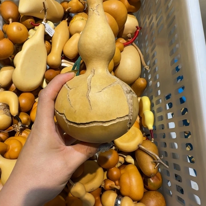 小***禄哈哈哈哈哈哈哈哈哈哈哈