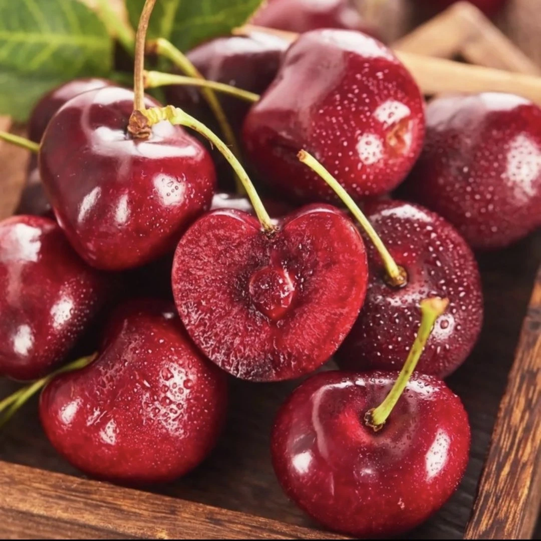 【空运】智利车厘子桑缇娜JJJ加黑500g/克（新鲜进口）桑提娜智利