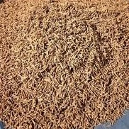 定亮收山货～火山麦冬非香菇