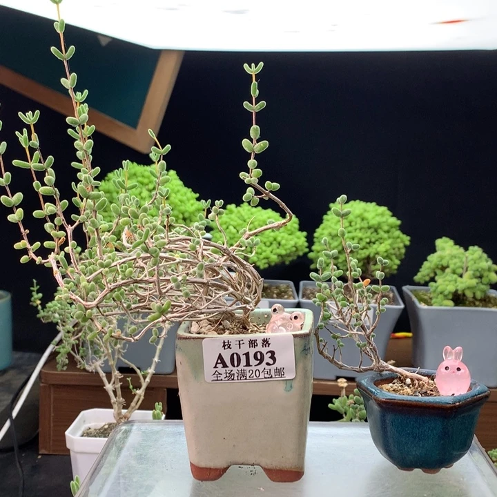 0193。