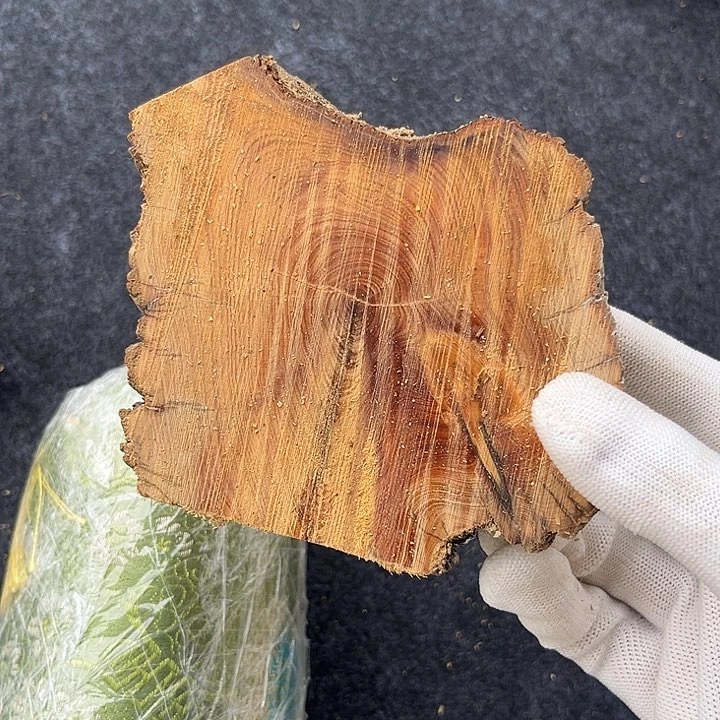 夜***珊柏木南太行崖柏切片