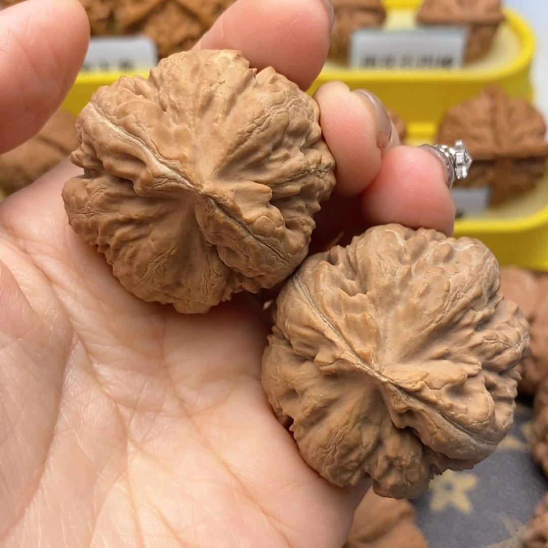 文玩核桃把件40尺全品霸王龙