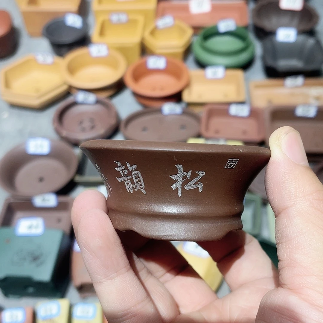 紫砂小盆5.5*2.5cmmmm