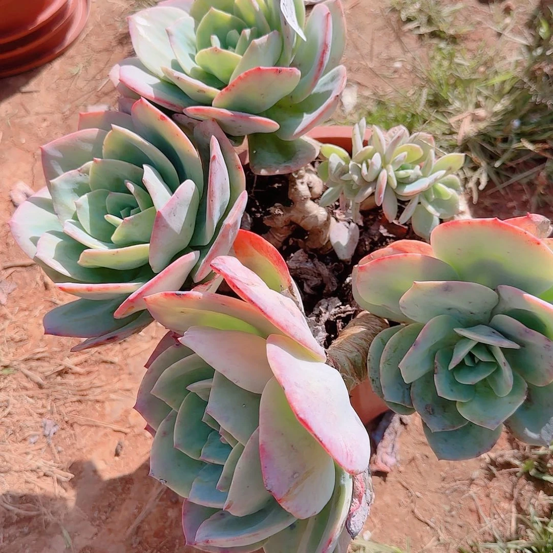 0544号包邮到手的时候我就