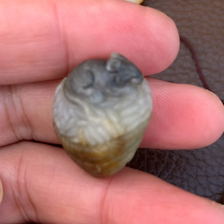 颈饰未镶嵌透闪石质玉