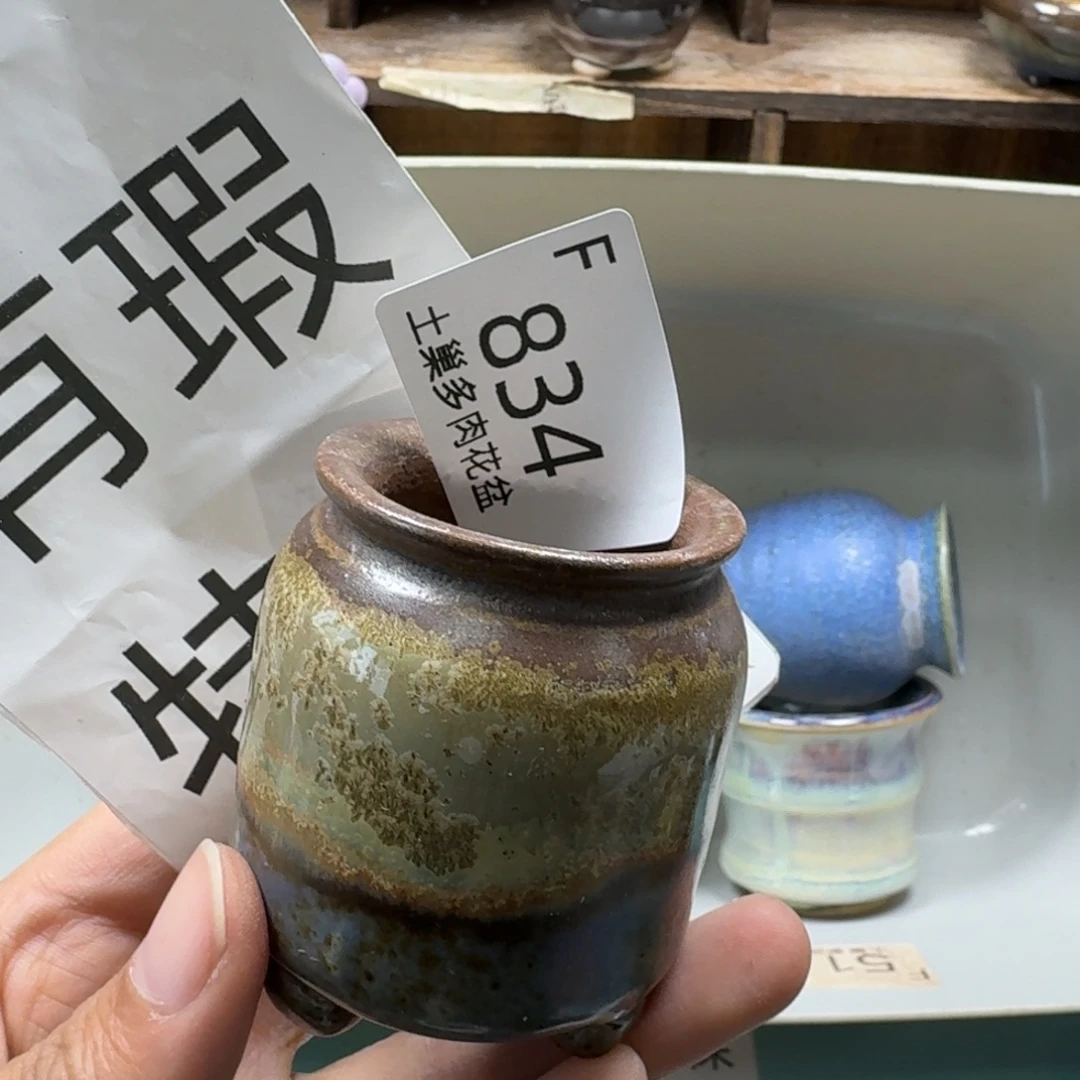 大***子陶瓷艺术品设计与制作