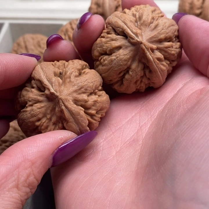 红***~文玩核桃手串霸王龙