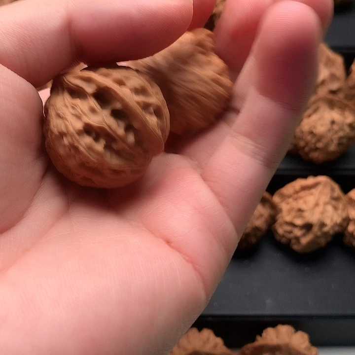 其他核桃子*秦岭十八盘