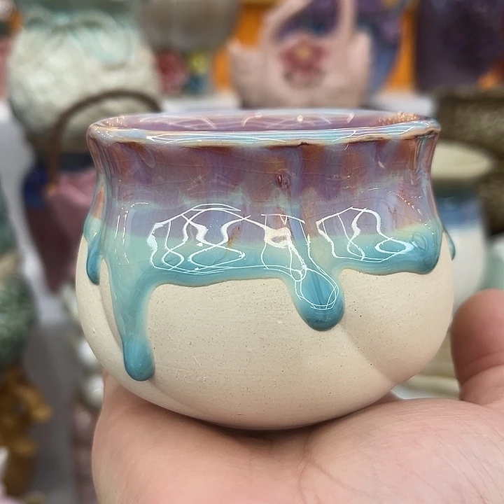 多肉植物陶瓷花盆