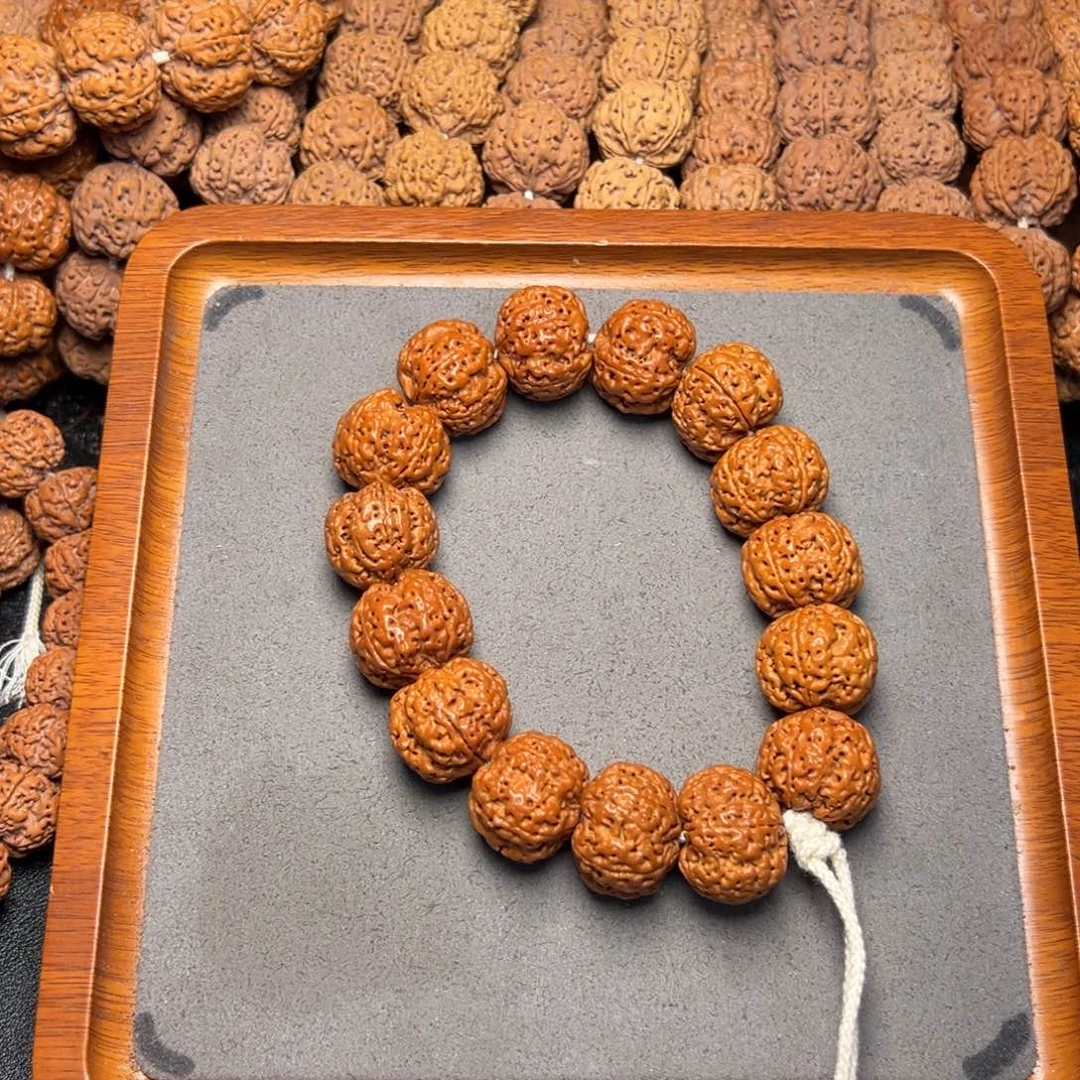 菩提9号尼泊尔大金刚22五星梅花蜂窝