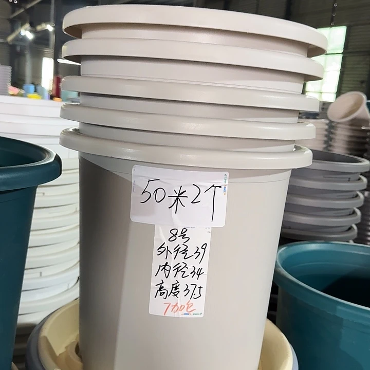 微瑕8#灰白5个无托