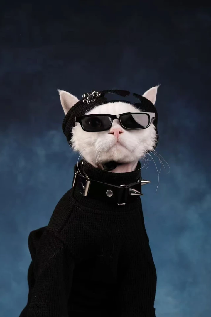 8号-{正品保障}-J86002-新款奢潮个性时尚百搭外套