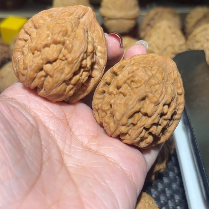 吊坠文玩核桃41全品蚂蚁王