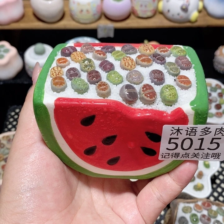 带盆土植物 一物一拍 5015