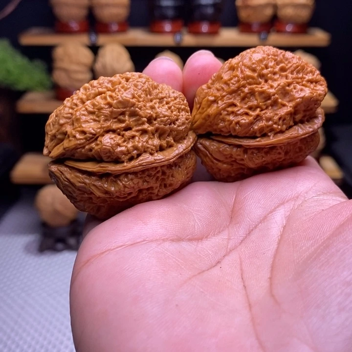 星***人木质类云铁蝴蝶蟾7号