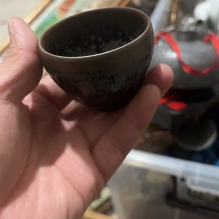 非***飞杂色豆（科檀/科特迪瓦檀木）