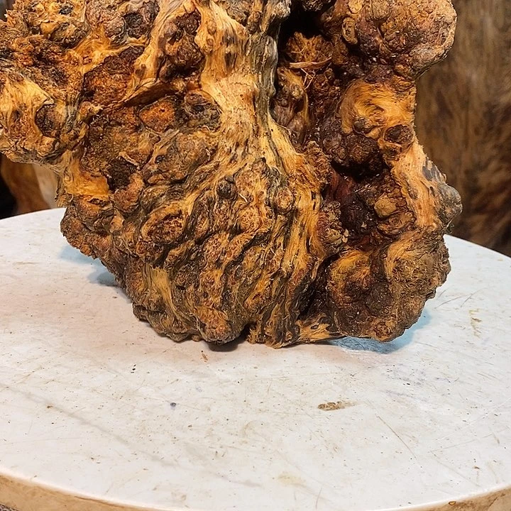 杜*我们都是你的粉丝23