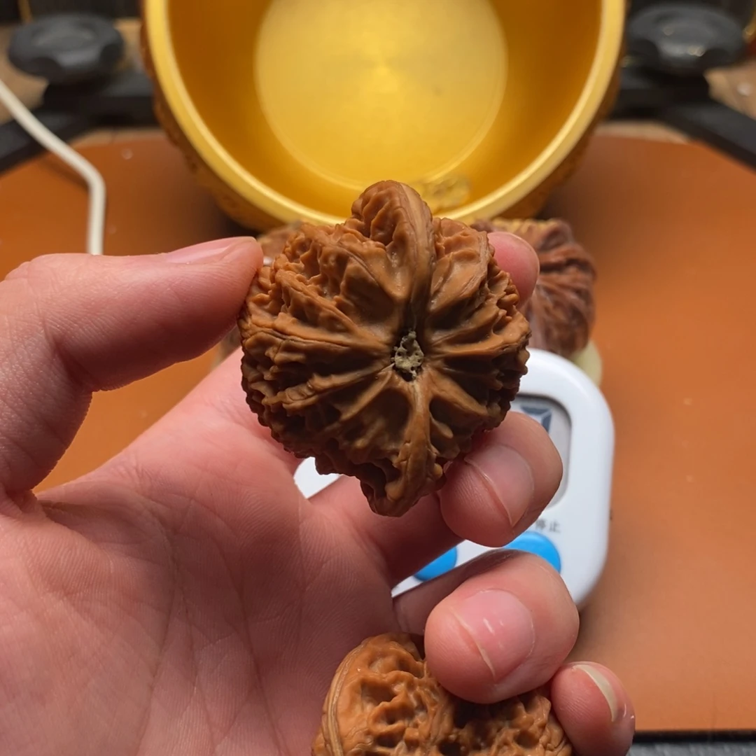 叫***王大叶紫檀（黑酸枝木类）