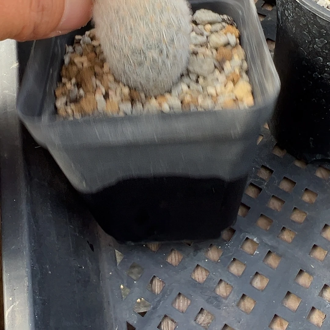 秋***静6785 清货满39包邮非偏远